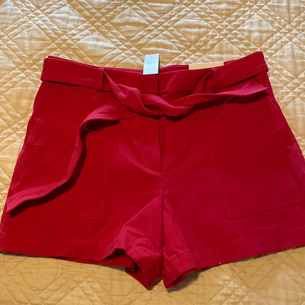 NWT Ann Taylor tie waste shorts